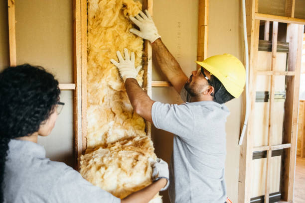 Best Eco-Friendly Insulation Solutions  in Highland Lakes, AL